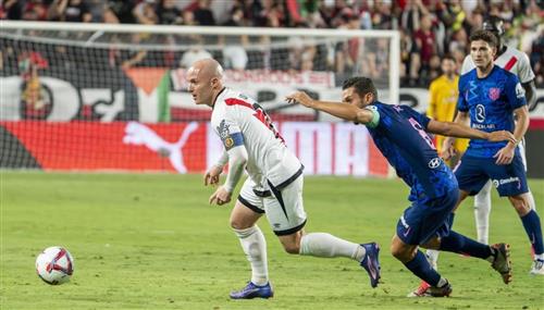 Ultimate Guide to Rally Betting Strategies